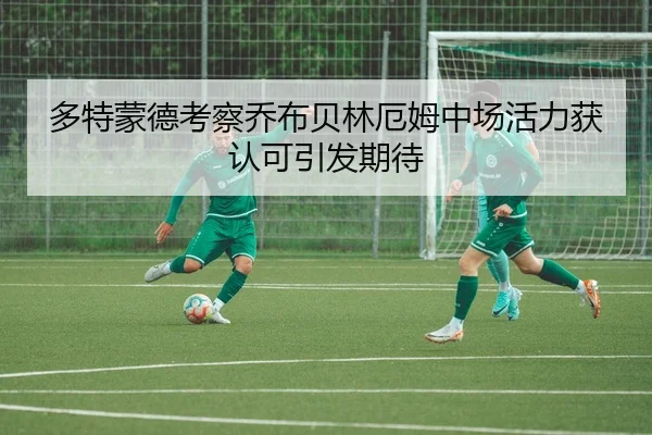 多特蒙德考察乔布贝林厄姆中场活力获认可引发期待